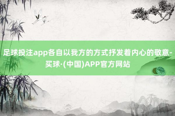 足球投注app各自以我方的方式抒发着内心的敬意-买球·(中国)APP官方网站