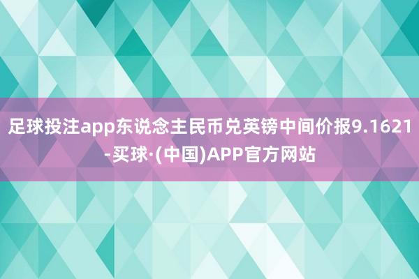 足球投注app东说念主民币兑英镑中间价报9.1621-买球·(中国)APP官方网站