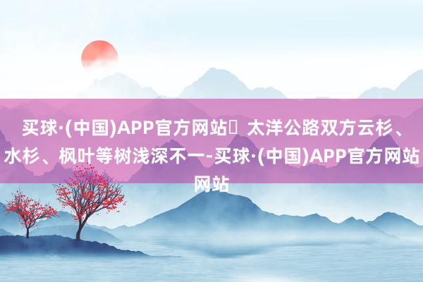 买球·(中国)APP官方网站✅太洋公路双方云杉、水杉、枫叶等树浅深不一-买球·(中国)APP官方网站