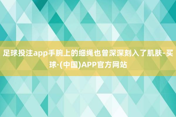 足球投注app手腕上的细绳也曾深深刻入了肌肤-买球·(中国)APP官方网站