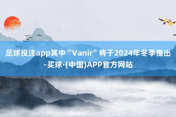 足球投注app其中“Vanir”将于2024年冬季推出-买球·(中国)APP官方网站