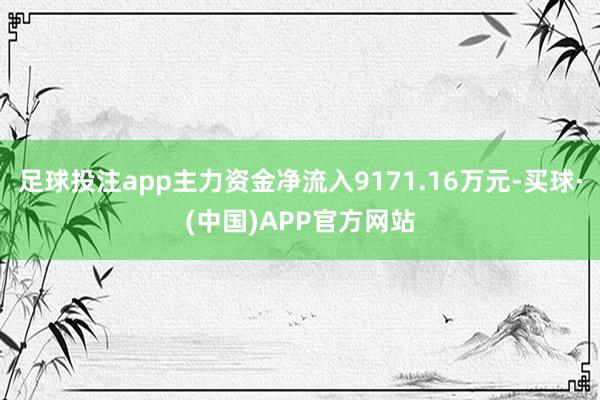 足球投注app主力资金净流入9171.16万元-买球·(中国)APP官方网站