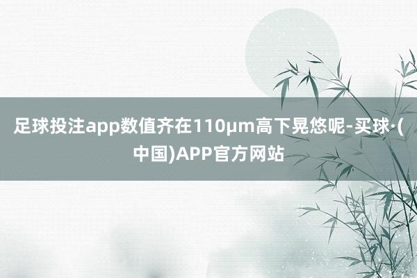 足球投注app数值齐在110μm高下晃悠呢-买球·(中国)APP官方网站