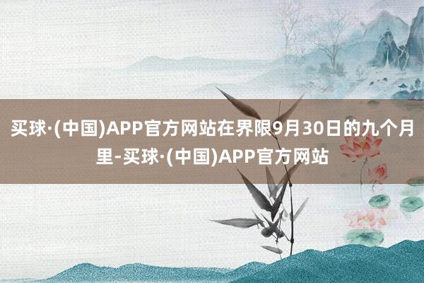 买球·(中国)APP官方网站在界限9月30日的九个月里-买球·(中国)APP官方网站