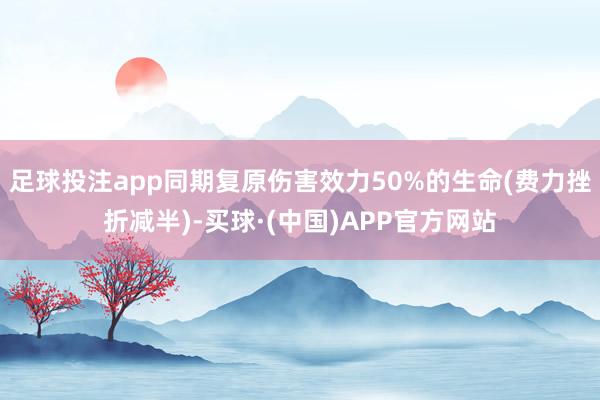 足球投注app同期复原伤害效力50%的生命(费力挫折减半)-买球·(中国)APP官方网站