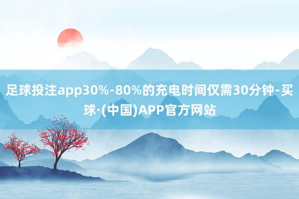 足球投注app30%-80%的充电时间仅需30分钟-买球·(中国)APP官方网站