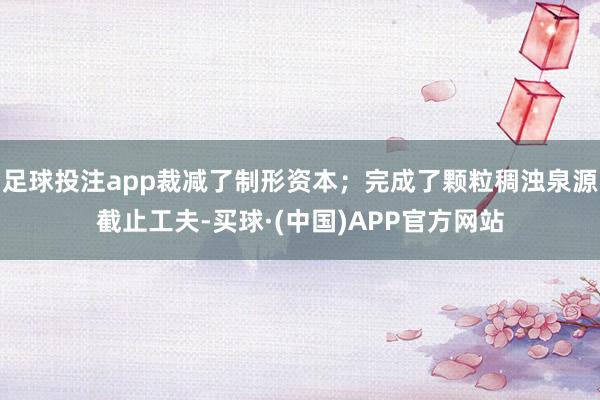 足球投注app裁减了制形资本；完成了颗粒稠浊泉源截止工夫-买球·(中国)APP官方网站