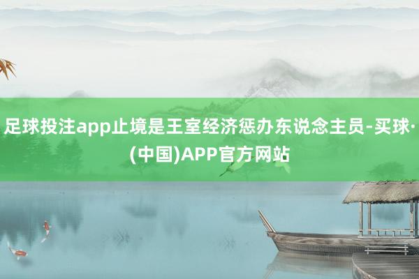 足球投注app止境是王室经济惩办东说念主员-买球·(中国)APP官方网站