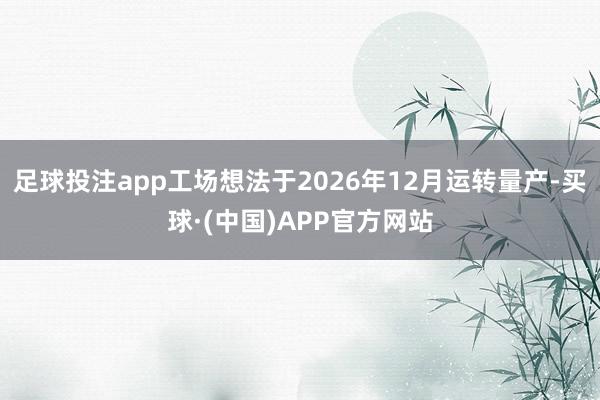 足球投注app工场想法于2026年12月运转量产-买球·(中国)APP官方网站