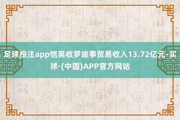 足球投注app恺英收罗竣事贸易收入13.72亿元-买球·(中国)APP官方网站