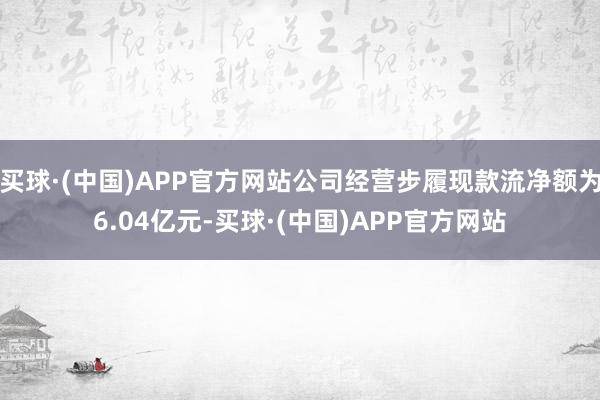 买球·(中国)APP官方网站公司经营步履现款流净额为6.04亿元-买球·(中国)APP官方网站