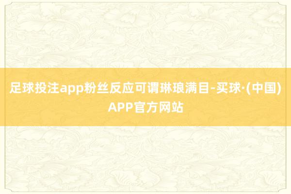 足球投注app粉丝反应可谓琳琅满目-买球·(中国)APP官方网站