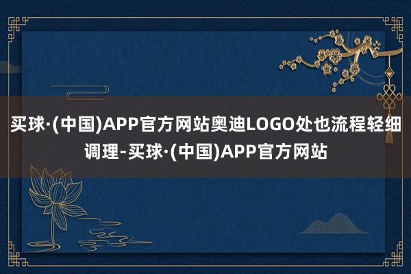 买球·(中国)APP官方网站奥迪LOGO处也流程轻细调理-买球·(中国)APP官方网站