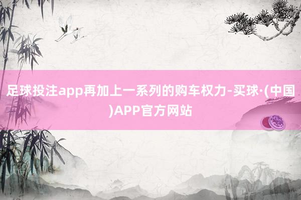 足球投注app再加上一系列的购车权力-买球·(中国)APP官方网站