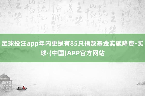 足球投注app年内更是有85只指数基金实施降费-买球·(中国)APP官方网站