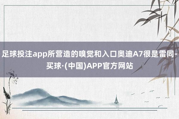 足球投注app所营造的嗅觉和入口奥迪A7很是雷同-买球·(中国)APP官方网站