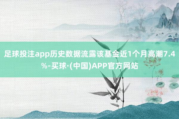 足球投注app历史数据流露该基金近1个月高潮7.4%-买球·(中国)APP官方网站