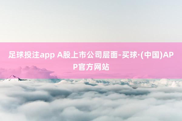 足球投注app　　 A股上市公司层面-买球·(中国)APP官方网站