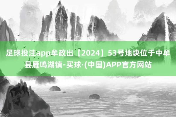 足球投注app牟政出【2024】53号地块位于中牟县雁鸣湖镇-买球·(中国)APP官方网站