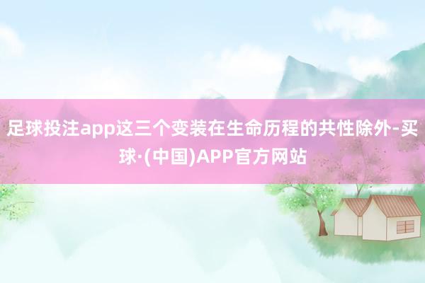 足球投注app这三个变装在生命历程的共性除外-买球·(中国)APP官方网站