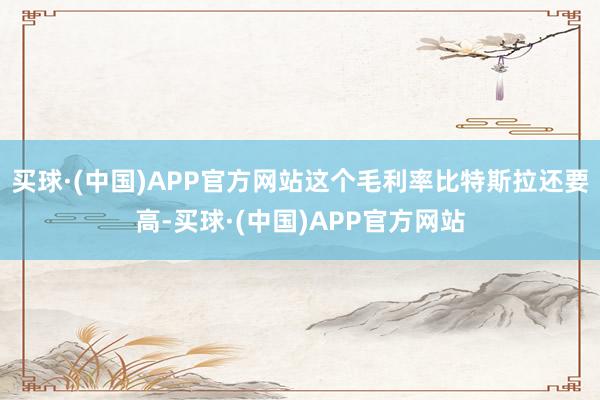 买球·(中国)APP官方网站这个毛利率比特斯拉还要高-买球·(中国)APP官方网站