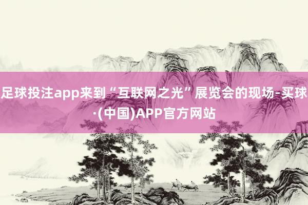 足球投注app来到“互联网之光”展览会的现场-买球·(中国)APP官方网站