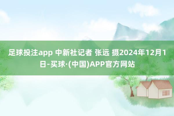 足球投注app 中新社记者 张远 摄2024年12月1日-买球·(中国)APP官方网站