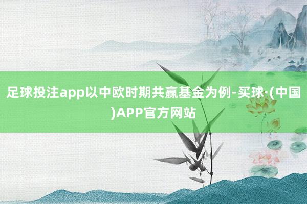 足球投注app以中欧时期共赢基金为例-买球·(中国)APP官方网站