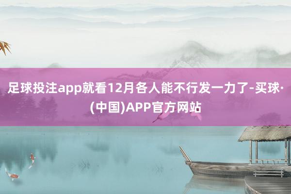 足球投注app就看12月各人能不行发一力了-买球·(中国)APP官方网站