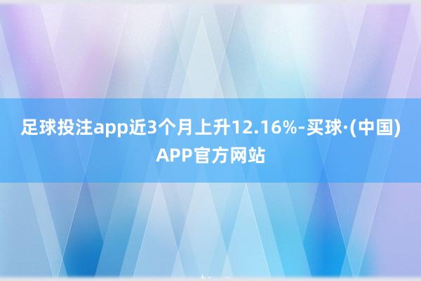 足球投注app近3个月上升12.16%-买球·(中国)APP官方网站