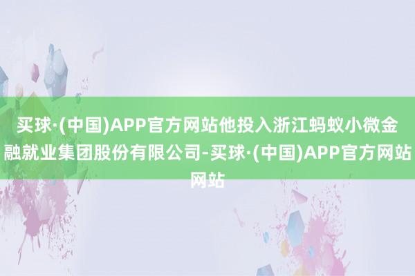 买球·(中国)APP官方网站他投入浙江蚂蚁小微金融就业集团股份有限公司-买球·(中国)APP官方网站