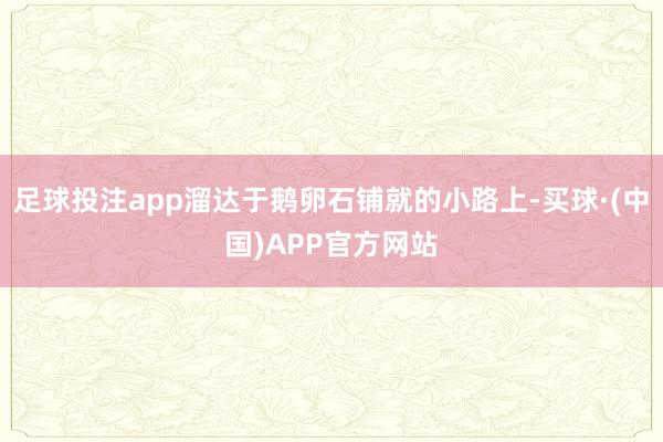 足球投注app溜达于鹅卵石铺就的小路上-买球·(中国)APP官方网站