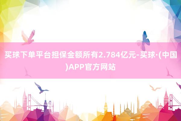 买球下单平台担保金额所有2.784亿元-买球·(中国)APP官方网站