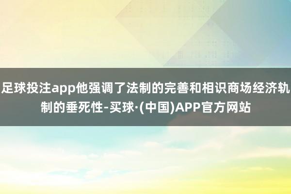 足球投注app他强调了法制的完善和相识商场经济轨制的垂死性-买球·(中国)APP官方网站