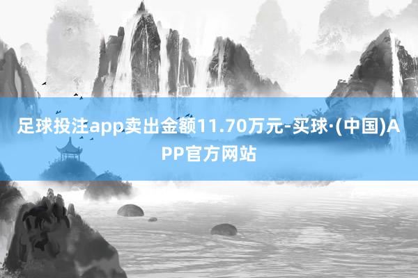 足球投注app卖出金额11.70万元-买球·(中国)APP官方网站