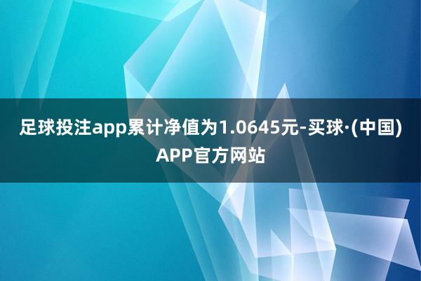 足球投注app累计净值为1.0645元-买球·(中国)APP官方网站