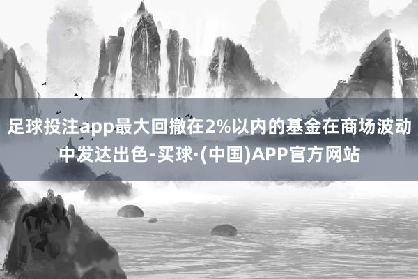 足球投注app最大回撤在2%以内的基金在商场波动中发达出色-买球·(中国)APP官方网站