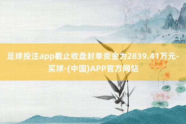 足球投注app截止收盘封单资金为2839.41万元-买球·(中国)APP官方网站