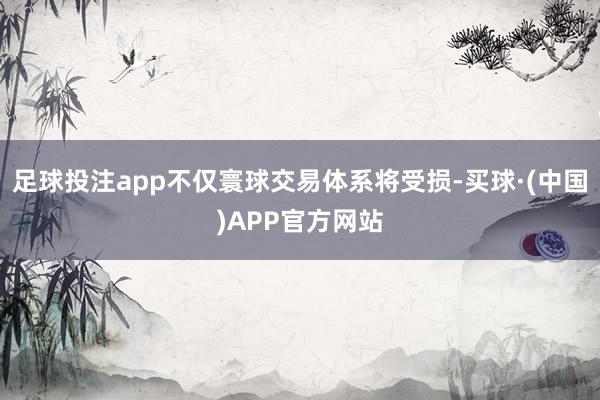 足球投注app不仅寰球交易体系将受损-买球·(中国)APP官方网站