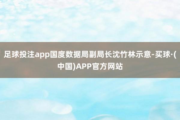 足球投注app国度数据局副局长沈竹林示意-买球·(中国)APP官方网站