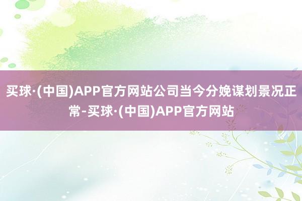 买球·(中国)APP官方网站公司当今分娩谋划景况正常-买球·(中国)APP官方网站