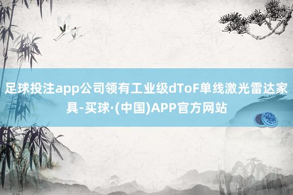 足球投注app公司领有工业级dToF单线激光雷达家具-买球·(中国)APP官方网站