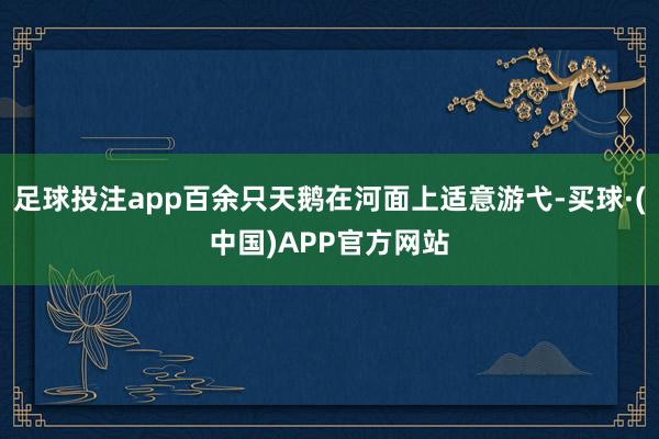 足球投注app百余只天鹅在河面上适意游弋-买球·(中国)APP官方网站