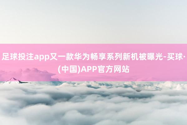 足球投注app又一款华为畅享系列新机被曝光-买球·(中国)APP官方网站